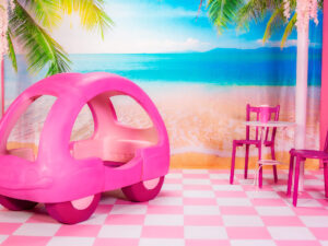 Barbie Set